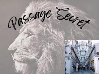 Passage Secret - Idéal Pro, Couples, Familles & Amis - Le calme en Hypercentre - Wifi Haut Débit - Netflix - Machine à laver - Gare, Cathédrale, Commerces, Restaurants & Transports en commun à moins de 10 Minutes à pied - Reims - 5