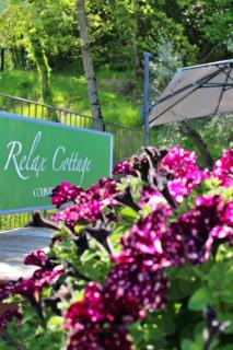 Relax cottage - Querce - 7