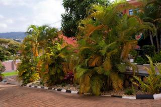 Romalo Hotel & Apartments - Kigali - 1