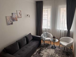 Vytauto apartamentai centre - Kaunas - 0