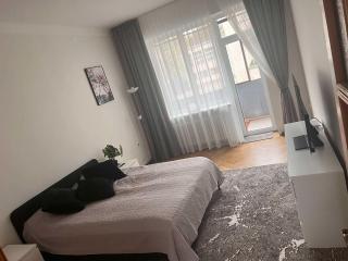 Vytauto apartamentai centre - Kaunas - 1