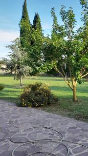 B&B Il Papavero - Tuscania - 4