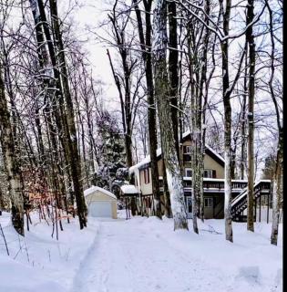 Sleeping Bear Chalet - Birch, MI - Cedar - 5