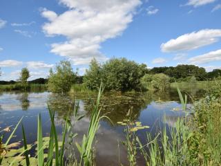 1 Bed in Thetford 76493 - East Harling - 9