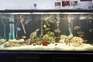 New Loft 3 min to Local hospitals Sleeps 4 - 5