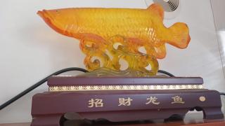 Chez Lilly - Oranjestad - 6