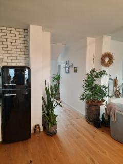 Apartament DagMar Elbląg przy placu katedralnym - Skorka - 9