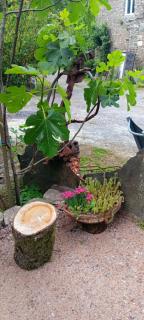 gite des hautes planches 2 pers en Normandie - 1