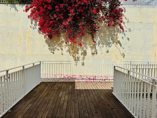 Althaia Hills - Altea - 5