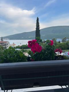 Sunrise Djenovici - Herceg-Novi - 6