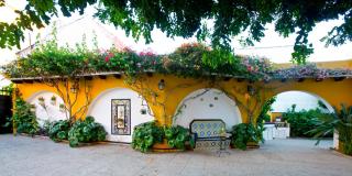 Precioso chalet con gran algarrobo y piscina privada - La Jara - 5