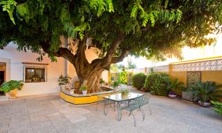 Precioso chalet con gran algarrobo y piscina privada - La Jara - 6