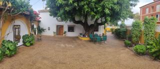 Precioso chalet con gran algarrobo y piscina privada - La Jara - 8