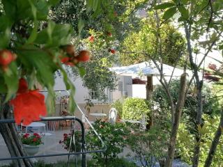 B&B Villa Lula Lucca - Lucca - 8