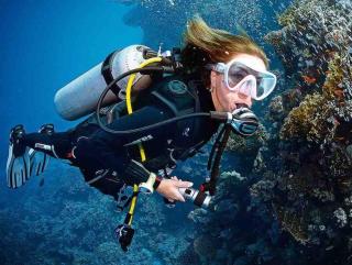 Nemo Dive Center AQABA JORDAN - Aqaba - 6