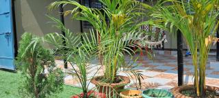 Diya Homestay - - 7