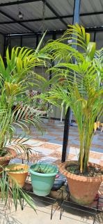 Diya Homestay - - 8