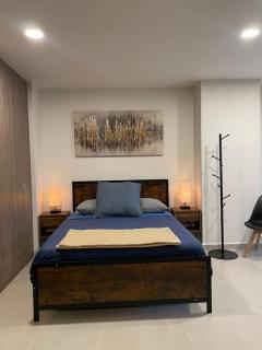 Encantador Loft en el corazón de Guadalajara - Guadalajara - 0