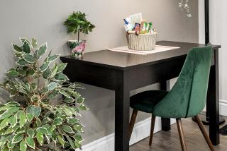 Stylish 2 Bedroom Condo Downtown Ottawa - 4