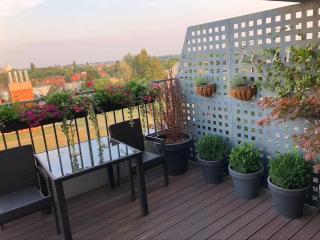 Enjoy your stay in a penthouse - Galanta - 2