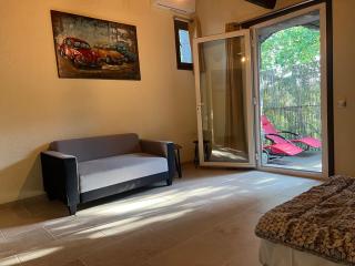 Chambre d'hôtes climatisée avec terrasse - Saint Alban Auriolles - 9
