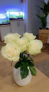 Apartament Piața Miorița - Bacău - 9