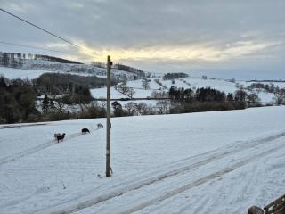 Old School Cottage - Marske - 9