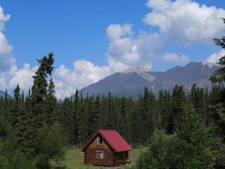 Avens Alaska - Slana - 3