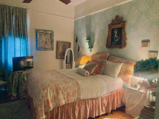 3BR Parisian Penthouse sleeps 5 w Balcony on Streetcar!! - New Orleans - 5