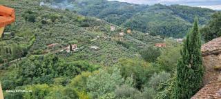 Hill Lovely House - Massa - 9