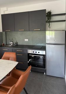 Lux relax apartman NS - Novi Sad - 8