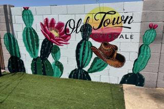Indianola Oasis Private Pool Outdoor Living Old Town Access - Scottsdale - 9