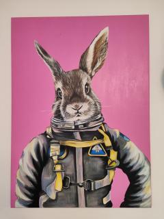 Rabbit - Durazzo - 9