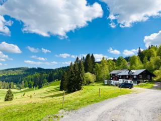 Mitten auf dem Feldberg Panorama Apartment Bergglück - Feldberg - 1