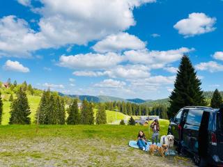Mitten auf dem Feldberg Panorama Apartment Bergglück - Feldberg - 4
