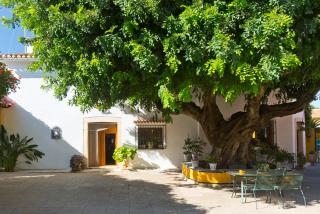 Precioso chalet con gran algarrobo y piscina privada - La Jara - 9