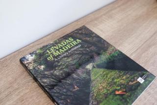 Madeira Family Apartment - Machico - 2