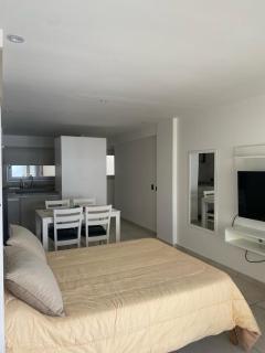 Amplio y Confortable Monoambiente en Mar del Plata - Mar del Plata - 5