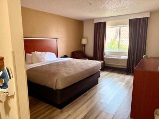 Quality Inn & Suites Golden - Denver West - Lakewood - 6