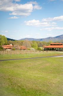 Afton Mountain Vineyard - Afton - 9