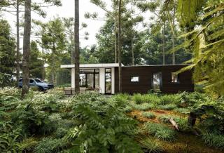 Chalet Vlinder - 1