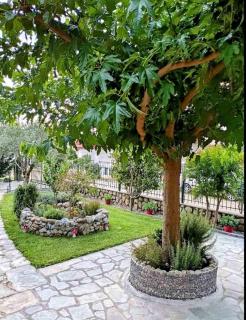 Family house with garden by the sea - Ofrínio - 9
