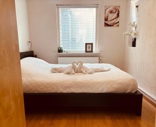 Beautiful and cozy holidayhome dune, sea and beach - 8