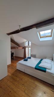 Duplex spacieux - centre-ville - Limoges - 8