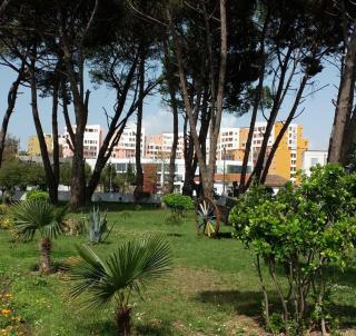Cozy Apartament - Durrës - 0