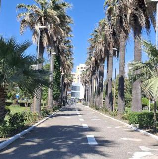 Cozy Apartament - Durrës - 3