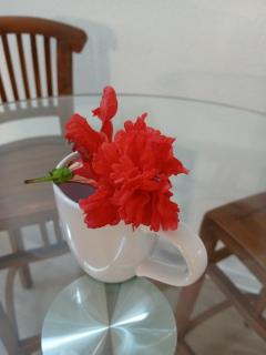 Studio piscine La Marina Le Gosier Guadeloupe - 4