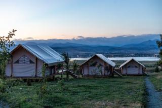 Glamping Salty Garden - 1