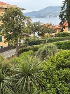 WELCOME RIVIERA Primavera 1A Vista mare- spazioso e comodo appartamento-wifi-aria condizionata garage a pagamento 15 euro al giorno - Rapallo - 5