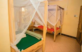 Nyota Safari Lodge - Moshi - 9